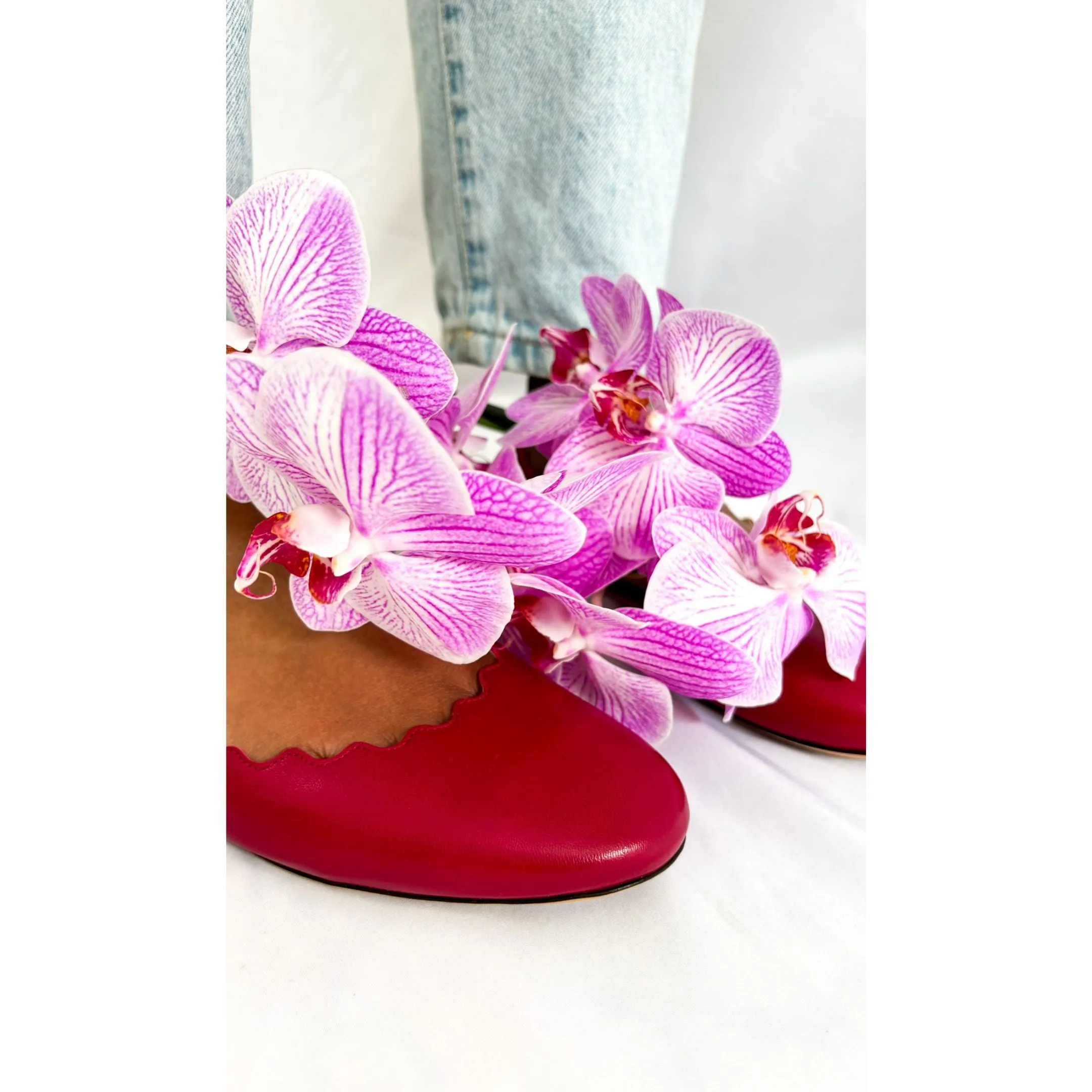 Chloe Lauren Ballet Flats