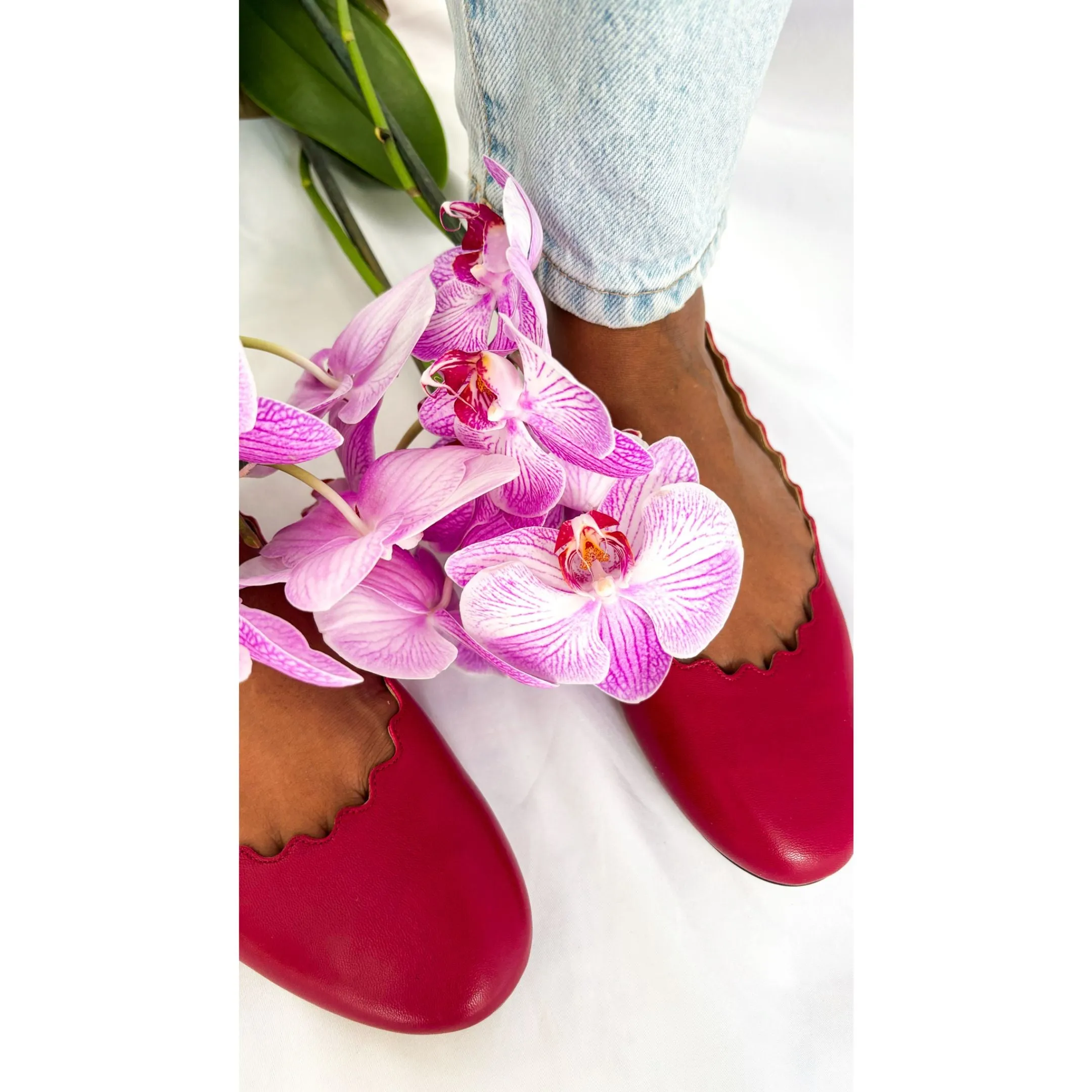 Chloe Lauren Ballet Flats
